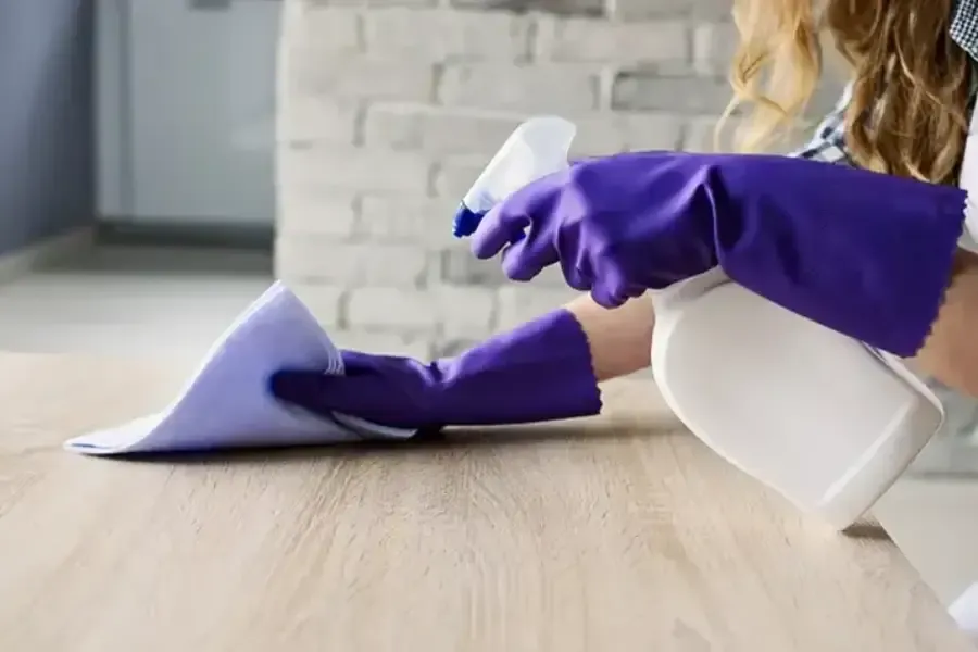 The Benefits Of Professional Furniture Cleaning Services in Grand Rapids MI